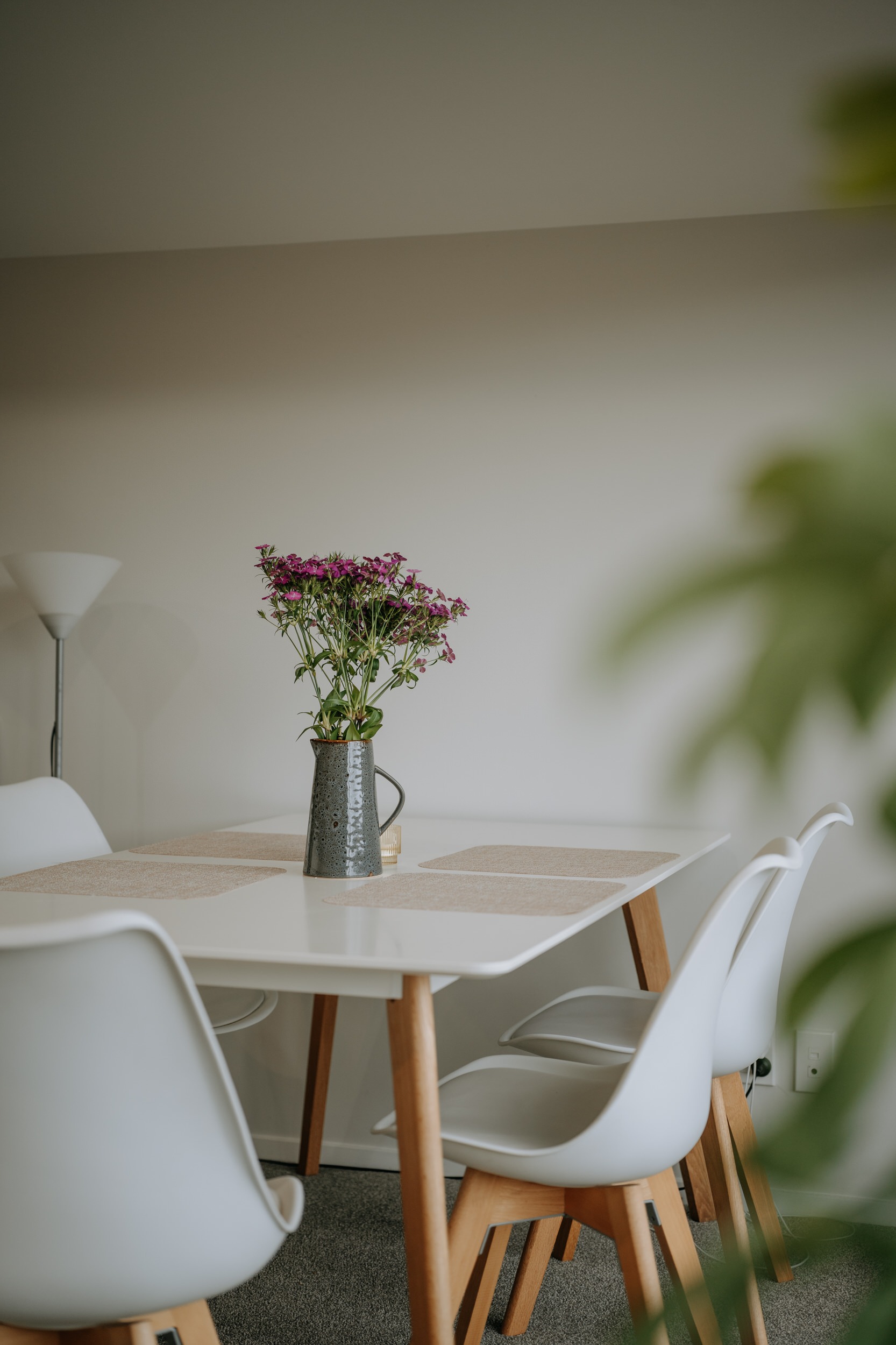 3a worcester st wilton, wellington (18)